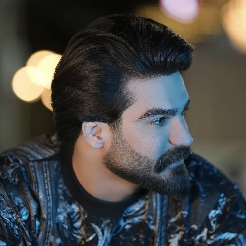 کنسرت حمیدرضا بابایی (سقز)